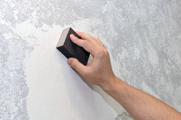 Best Real Estate Mold Inspection  in Syracuse, NY