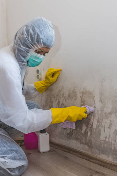 Best HVAC Mold Inspection and Cleaning  in Syracuse, NY