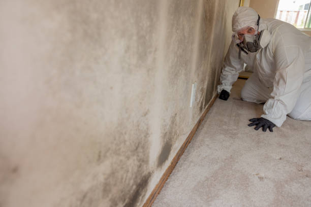 Best Asbestos and Lead Testing During Mold Inspection  in Syracuse, NY